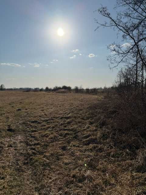 Działka rolna Brzuza. Zdjęcie 6