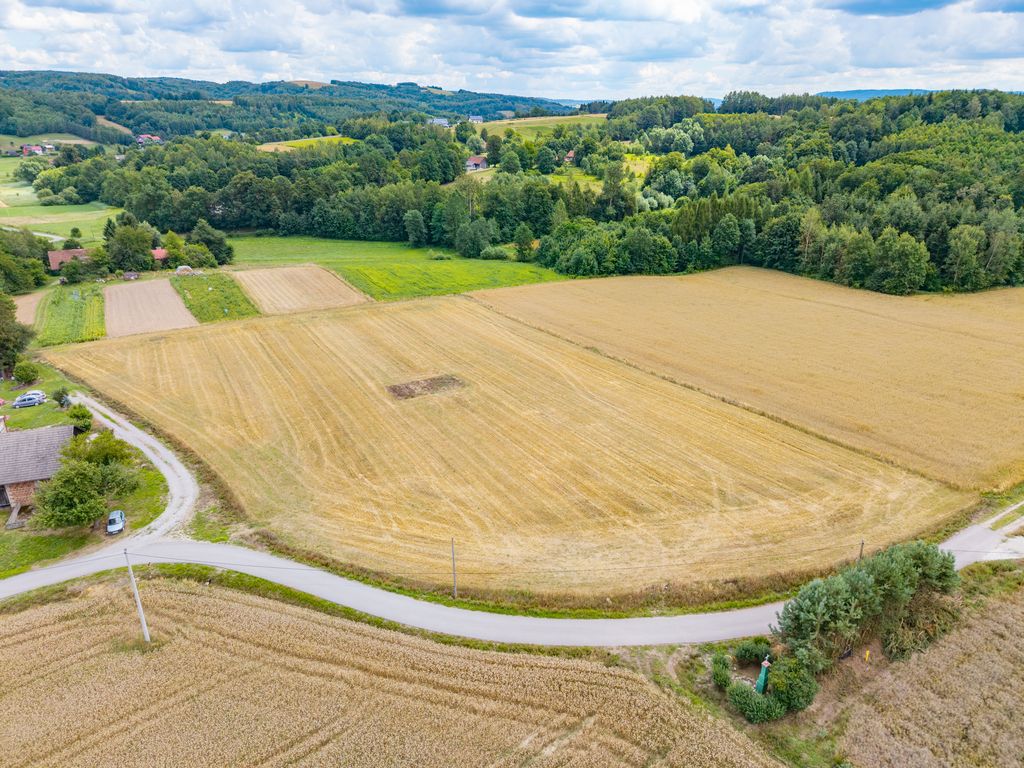 Działka budowlana Grodzisko. Zdjęcie 4