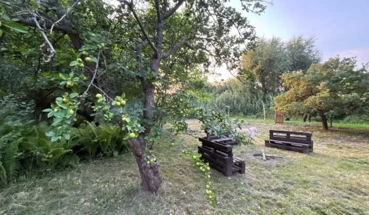 Działka rod Lublin Podzamcze