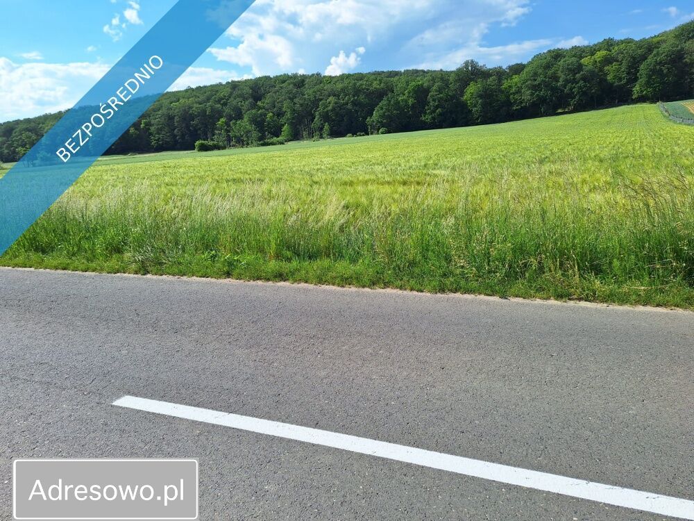 Działka rolno-budowlana Osiek nad Notecią. Zdjęcie 5