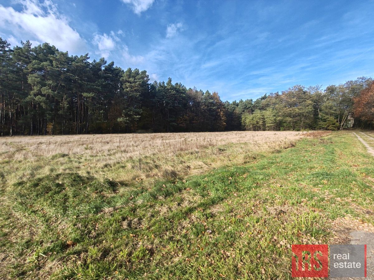 Działka budowlana Dziadowice. Zdjęcie 2