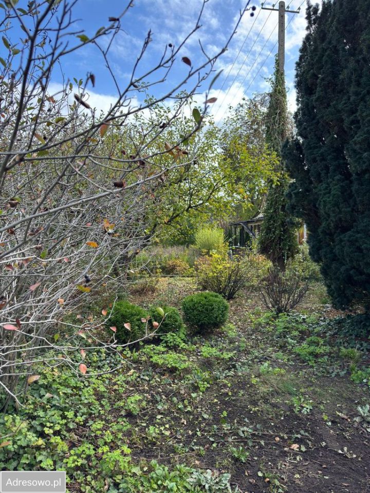 Działka rod Włocławek Lisek. Zdjęcie 3