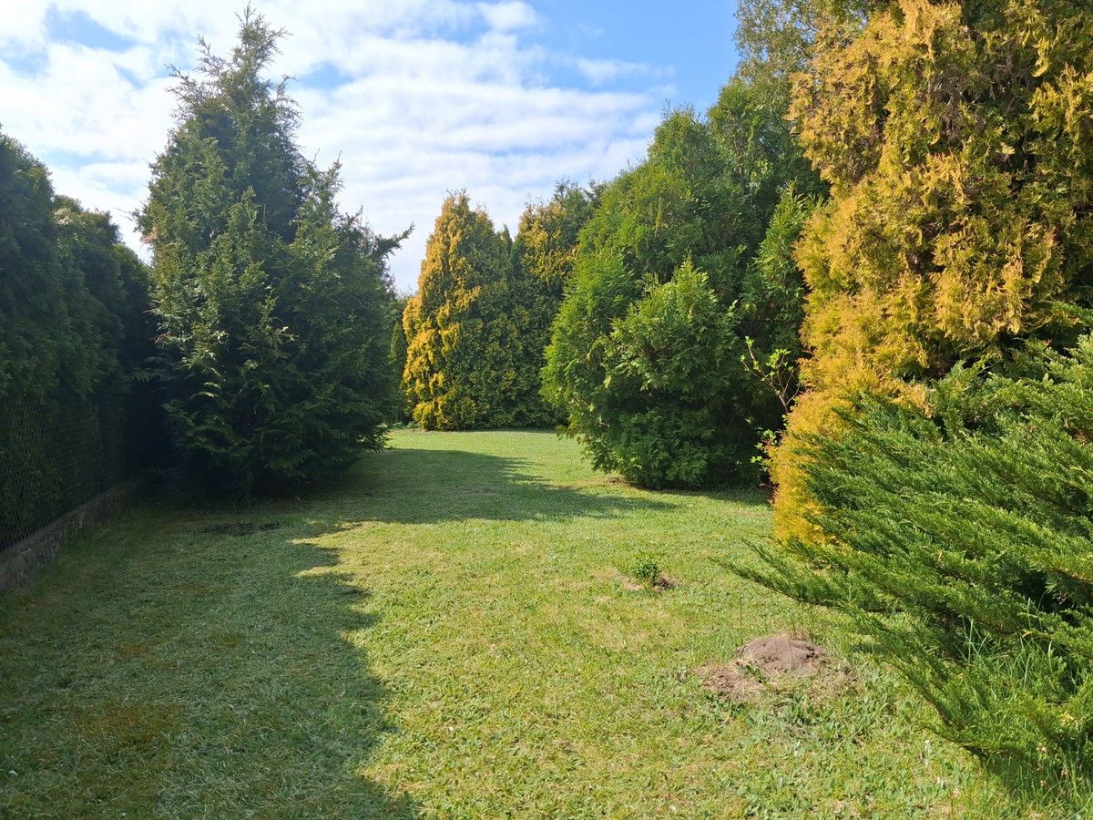 Działka rod Sokolniki-Las, ul. Graniczna. Zdjęcie 2