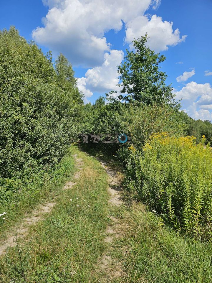 Działka leśna Pogorzel. Zdjęcie 9