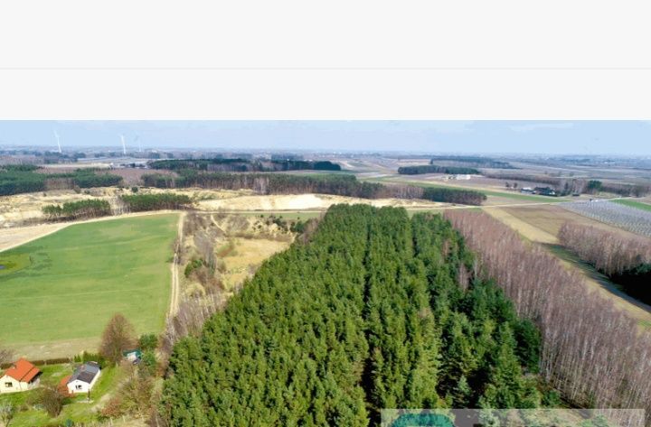 Działka leśna Niemgłowy. Zdjęcie 2