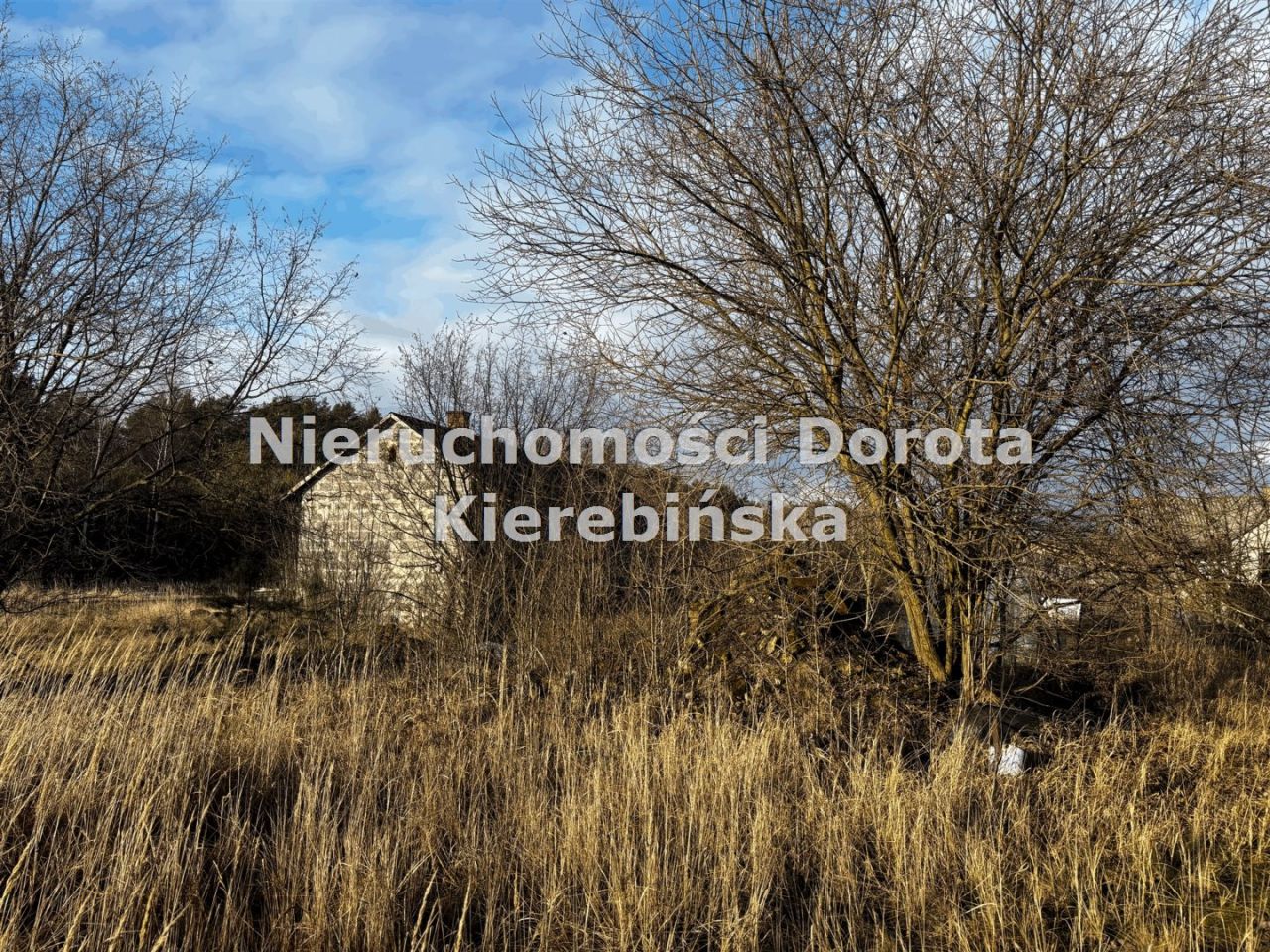 Działka Brzustów. Zdjęcie 7