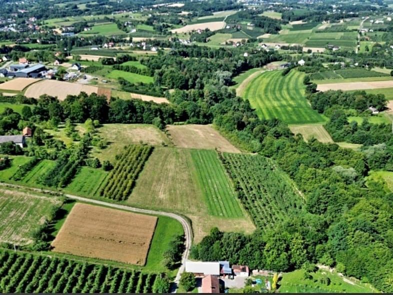 Działka siedliskowa Sadek. Zdjęcie 2