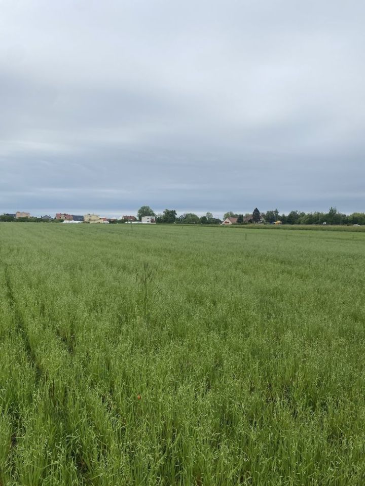 Działka inwestycyjna Ligota Piękna. Zdjęcie 6