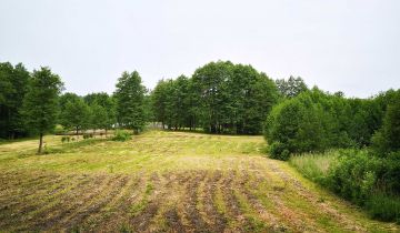 Działka rolna Łubowo. Zdjęcie 1