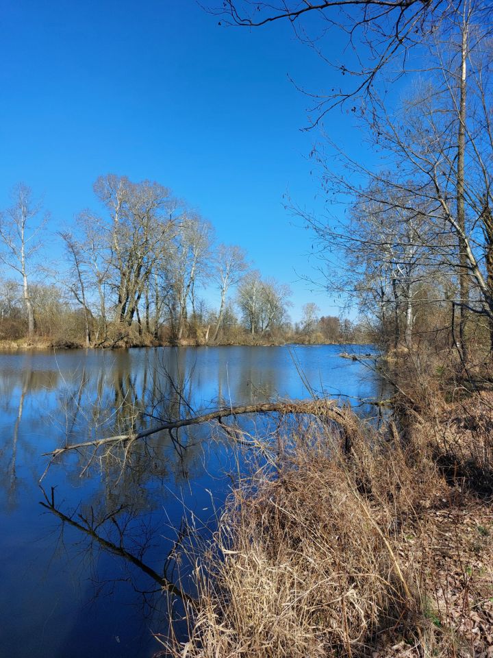 Działka budowlana Secymin Polski. Zdjęcie 8