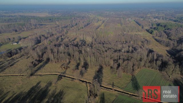 Działka siedliskowa Laskowizna. Zdjęcie 4