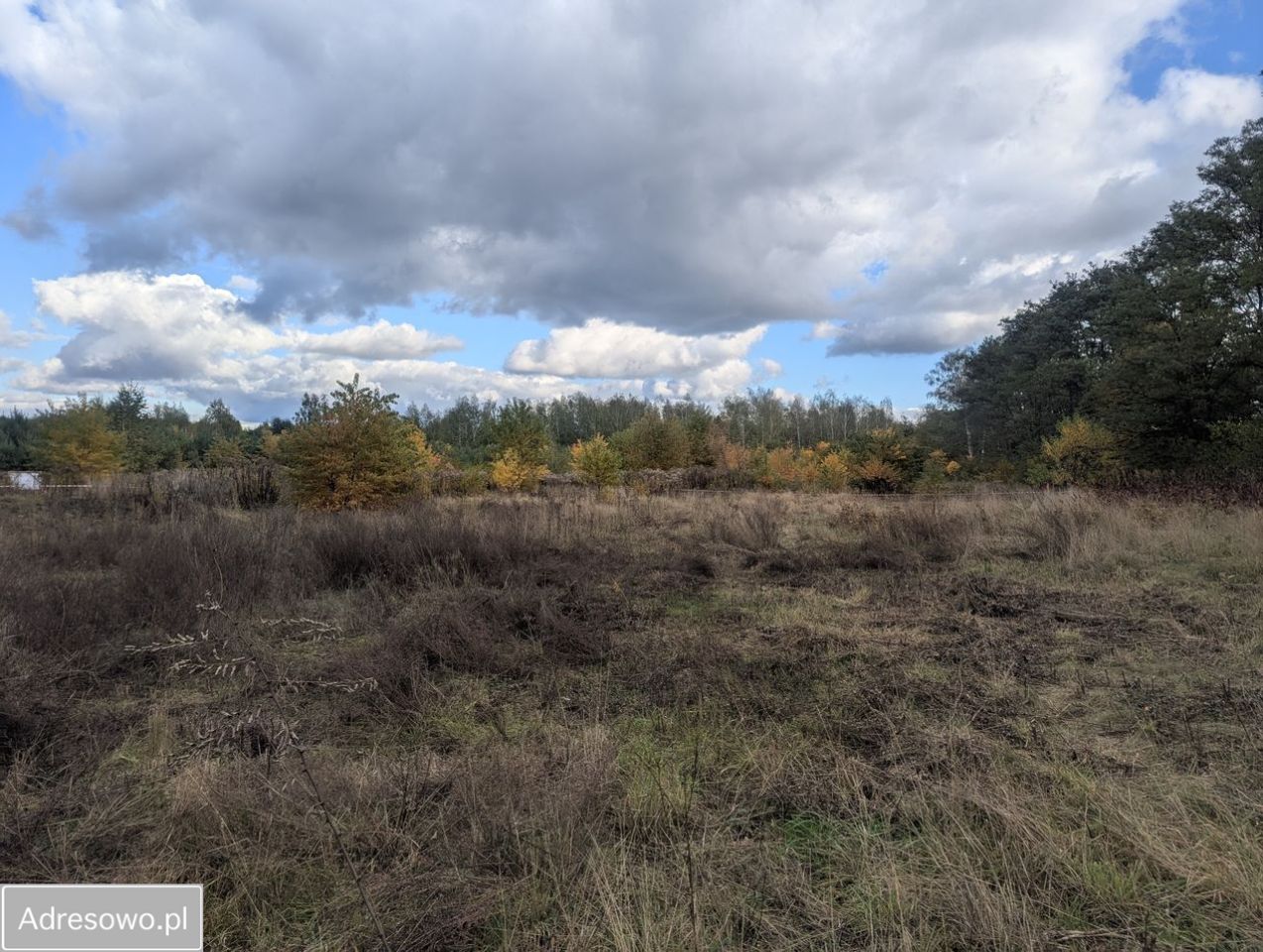 Działka budowlana Żółwin, ul. Tiulowa. Zdjęcie 4