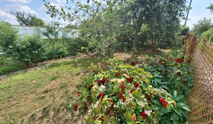 Działka rod Nysa, ul. Władysława Jagiełły