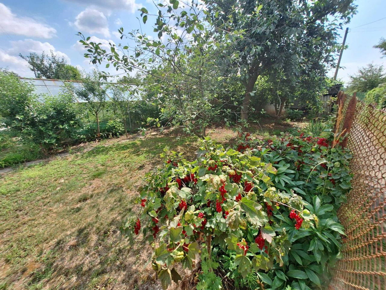 Działka rod Nysa, ul. Władysława Jagiełły. Zdjęcie 1