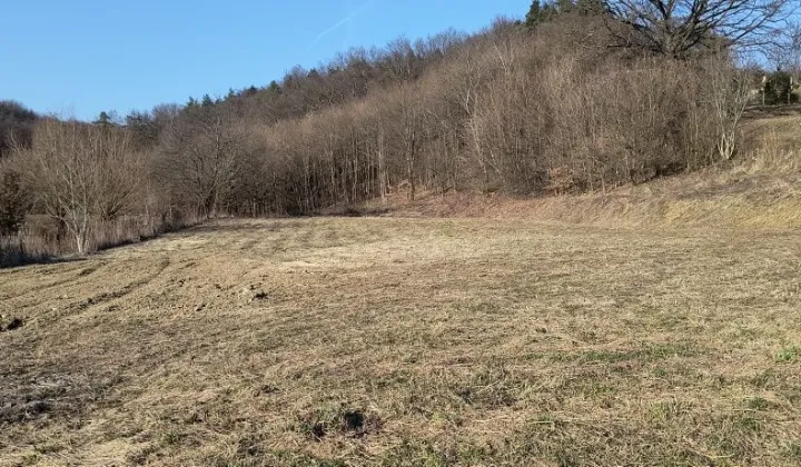 Działka budowlana Jasło Kowalowy