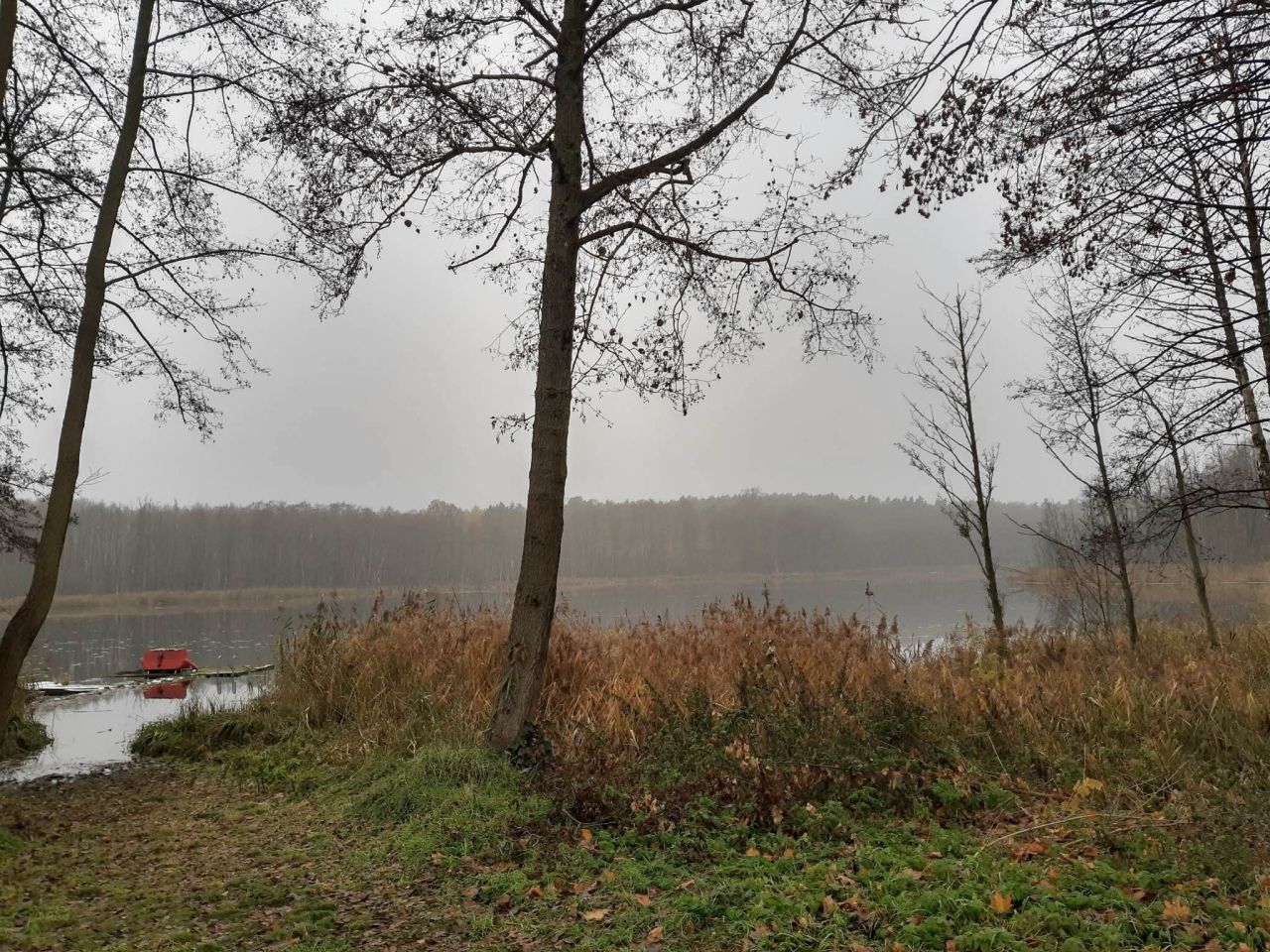 Działka budowlana Gronów. Zdjęcie 22