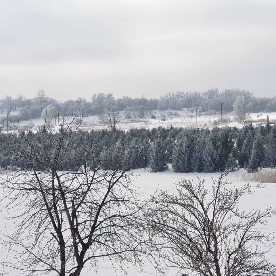 Działka budowlana Bartoszyce, ul. Struga. Zdjęcie 3