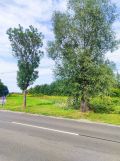Działka budowlana Miąse, ul. Nowowiejska. Zdjęcie 1
