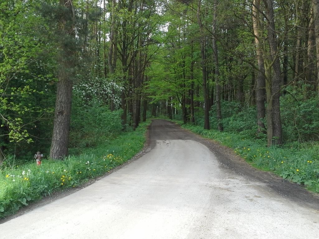 Działka budowlana Garbówek. Zdjęcie 13