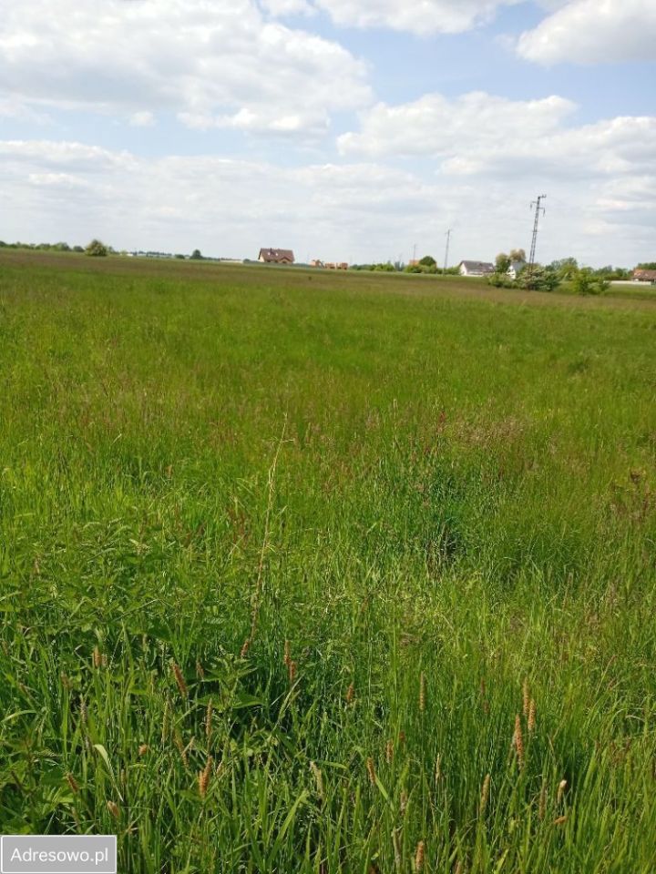 Działka budowlana Jerzmanki. Zdjęcie 9