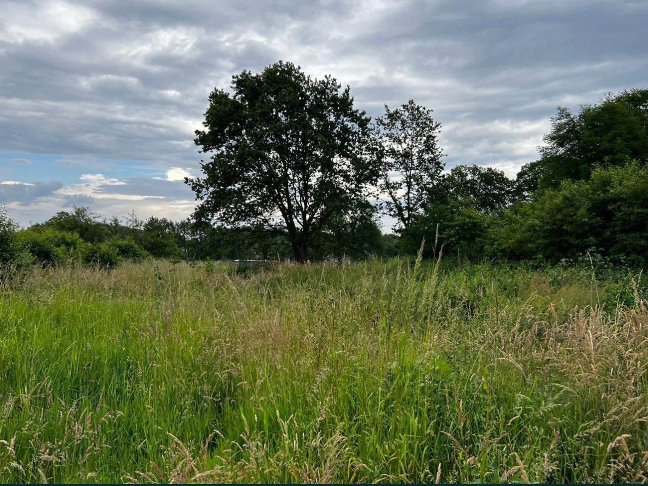 Działka budowlana Chełmica. Zdjęcie 2