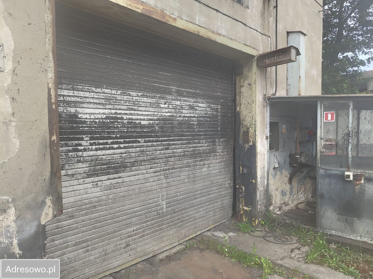 Hala/magazyn Opole Śródmieście, ul. Tadeusza Rejtana. Zdjęcie 19