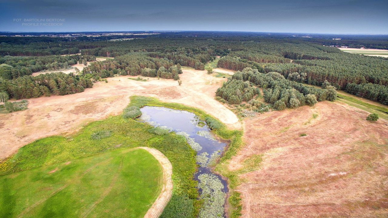 Działka rolna Mosina. Zdjęcie 5