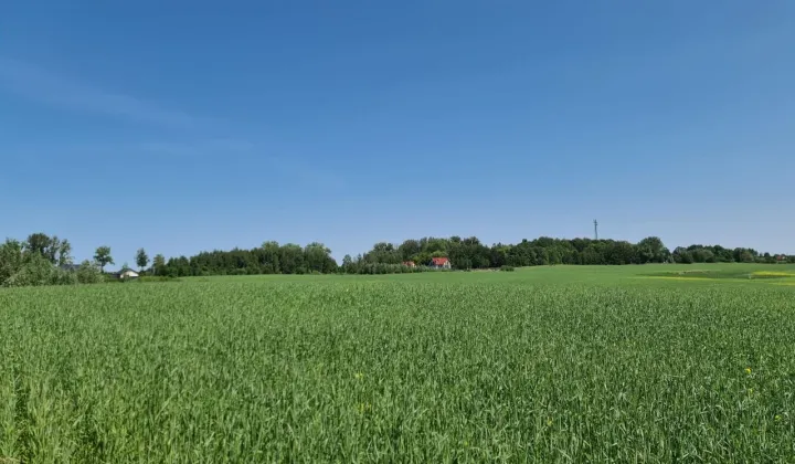 Działka rolna Woźnice