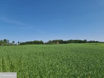 Działka rolna Woźnice