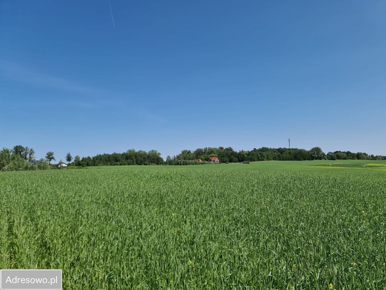 Działka rolna Woźnice