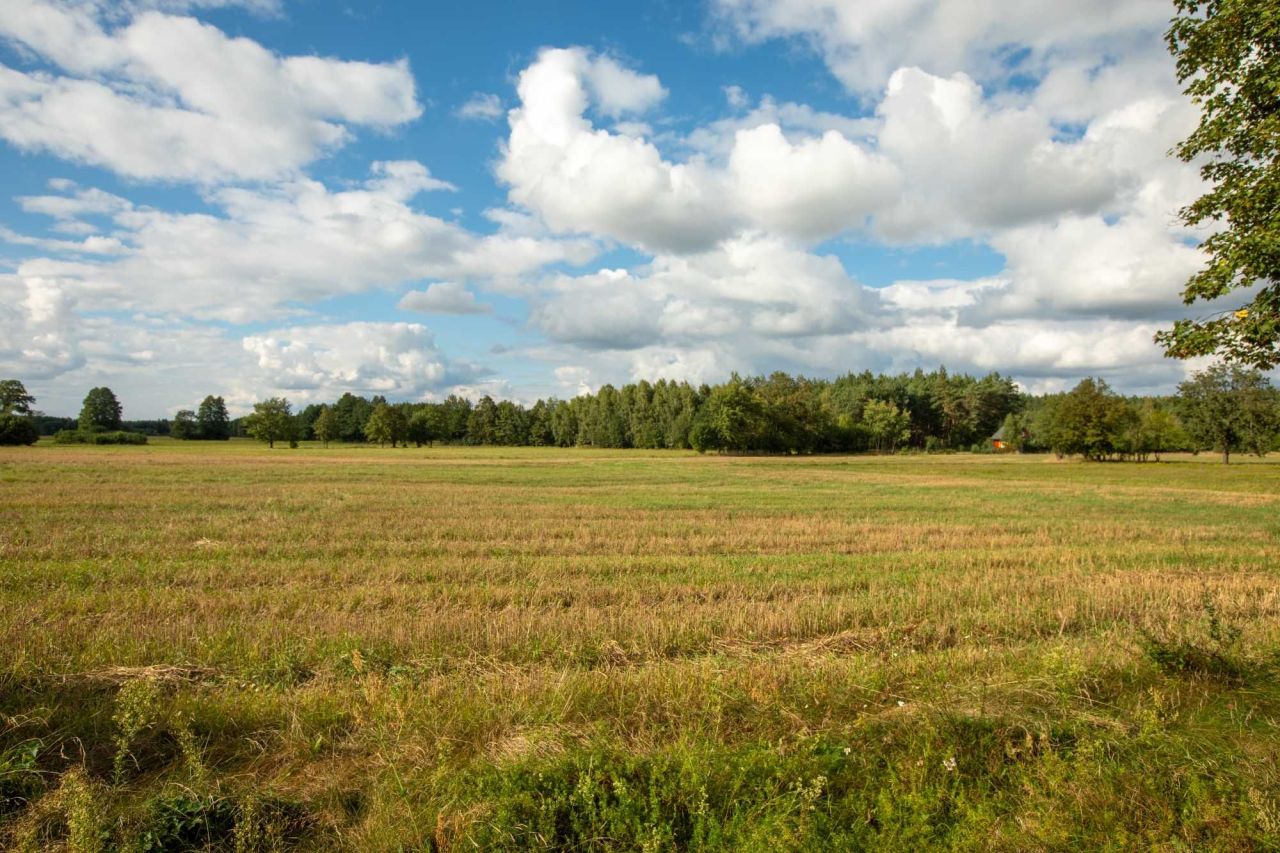 Działka rolno-budowlana Lasek. Zdjęcie 6