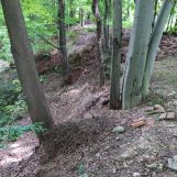 Działka leśna Bielsko-Biała Mikuszowice Krakowskie, ul. Krowoderska. Zdjęcie 4