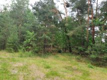 Działka inna Boska Wola. Zdjęcie 3