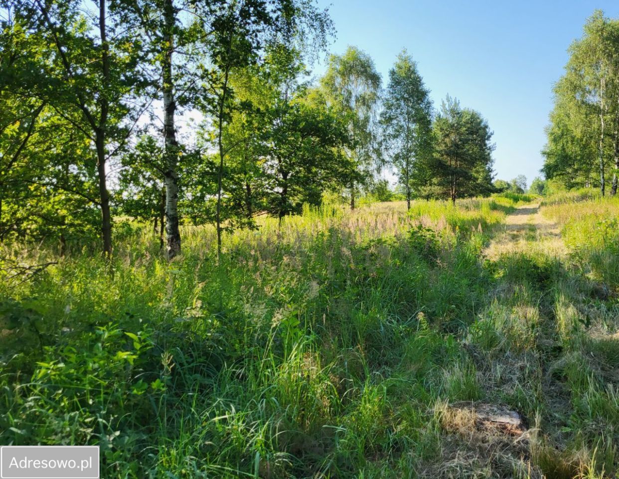 Działka budowlana Własna. Zdjęcie 16