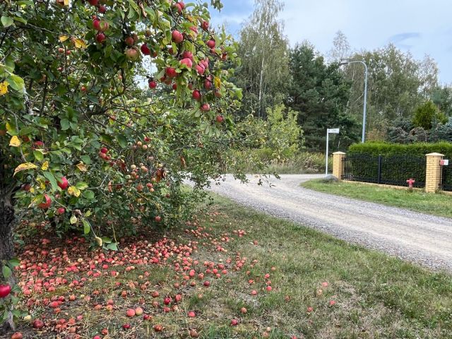 Działka budowlana Głosków, ul. Mewy. Zdjęcie 1