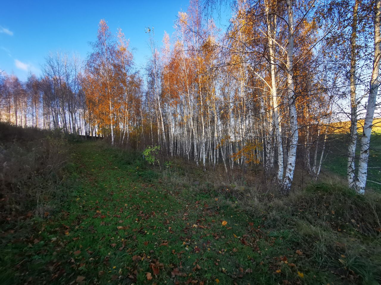 Działka budowlana Bisztynek. Zdjęcie 18