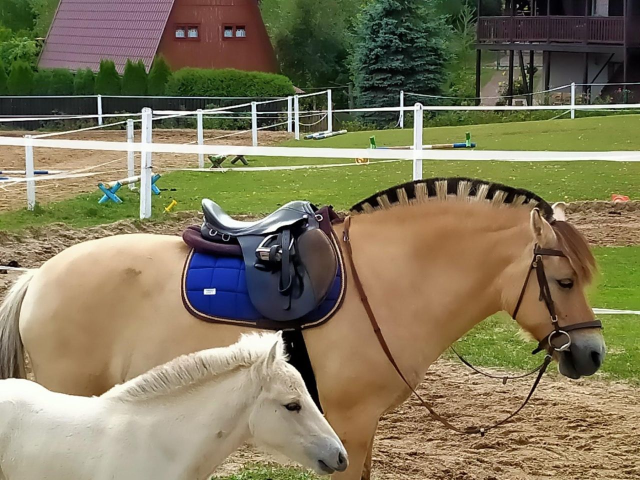 dom wolnostojący Łapalice, ul. Zamkowa. Zdjęcie 28