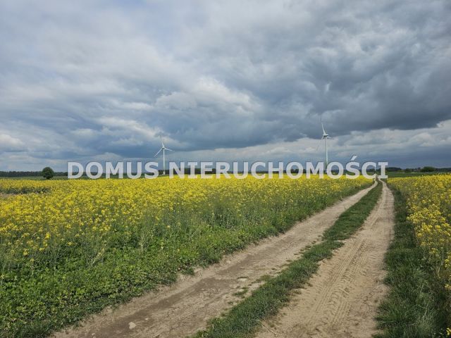 Działka rolna Stefanów. Zdjęcie 3