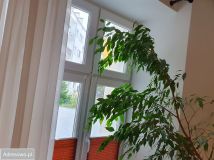 Mieszkanie 2-pokojowe Warszawa Praga-Północ, ul. Jakuba Jasińskiego. Zdjęcie 1