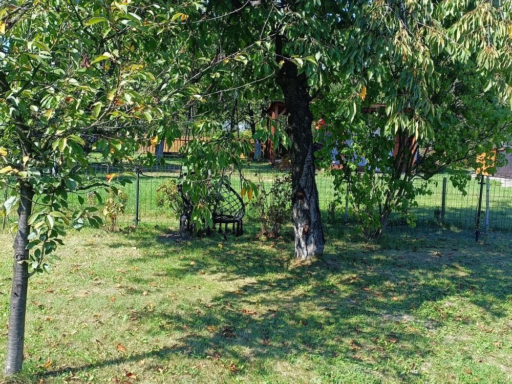 Działka rod Mysłowice, ul. Laryska. Zdjęcie 4