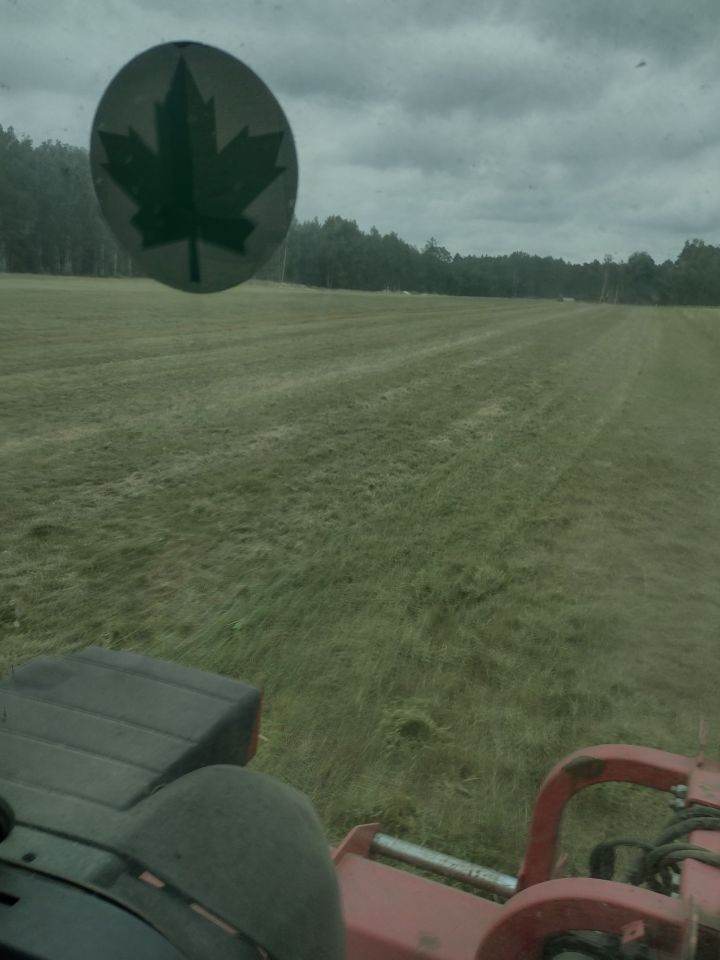 Działka rolna Kolbuszowa Górna. Zdjęcie 1