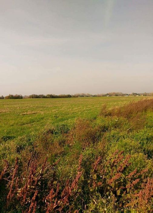 Działka budowlana Nowe Grochale. Zdjęcie 2