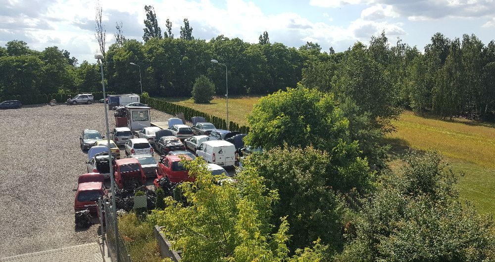 Działka inwestycyjna Czosnówka. Zdjęcie 6