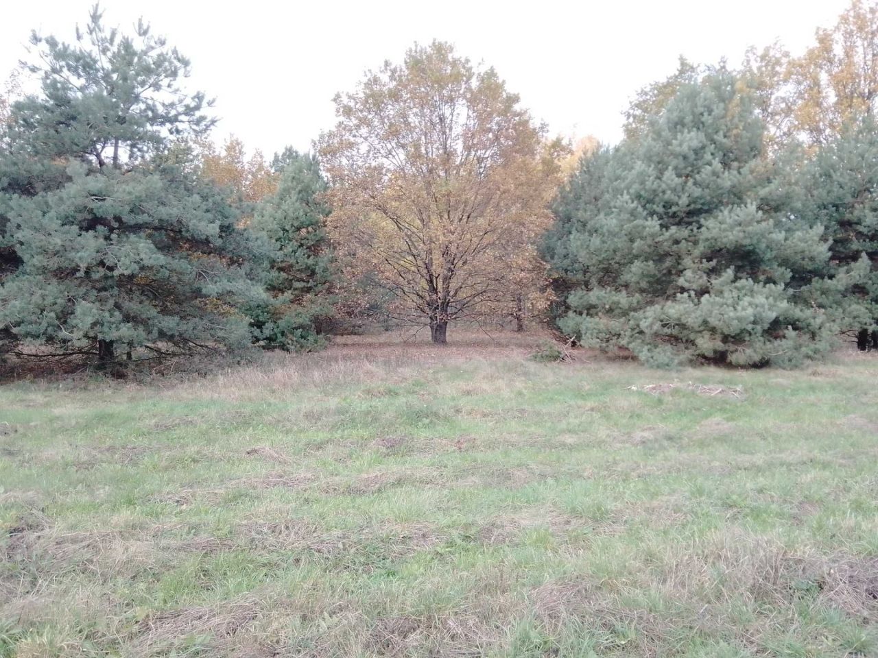 Działka budowlana Świdnica. Zdjęcie 6