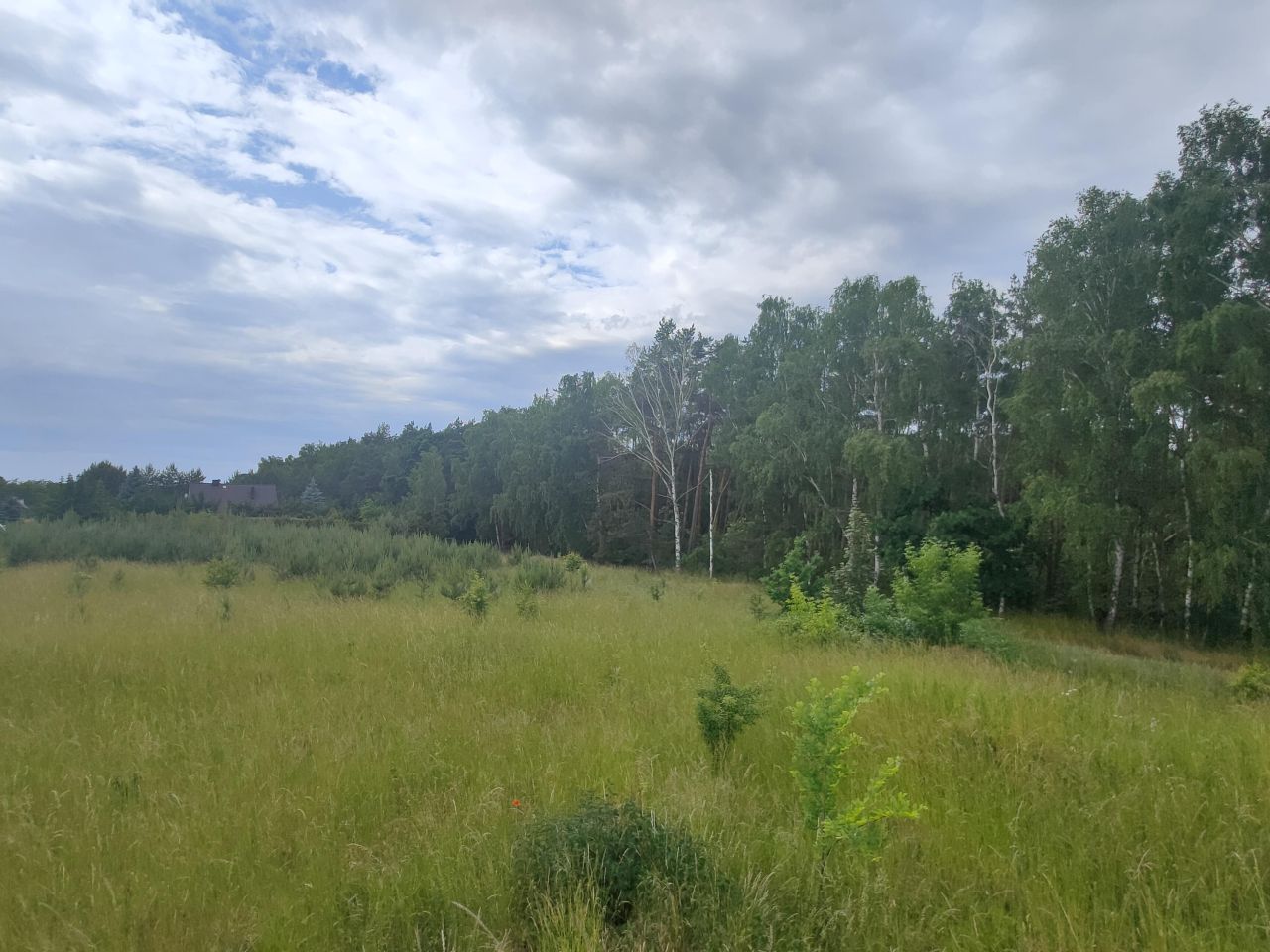 Działka budowlana Psarskie. Zdjęcie 2