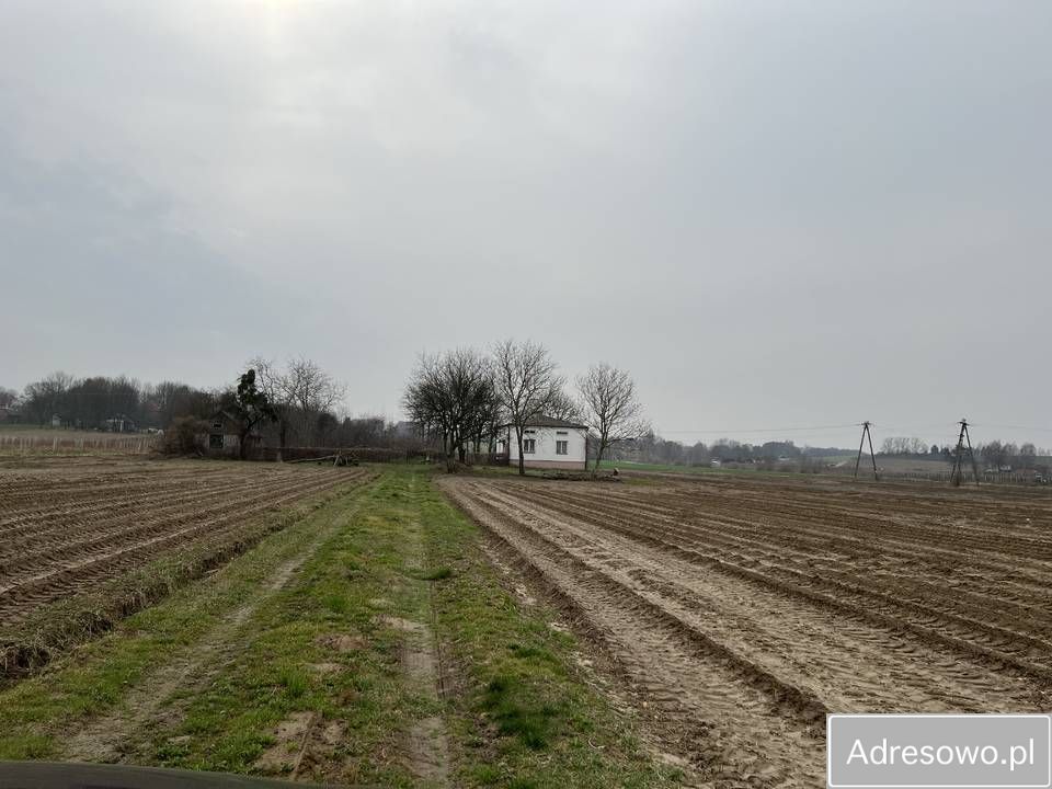 Działka siedliskowa Płonki. Zdjęcie 4