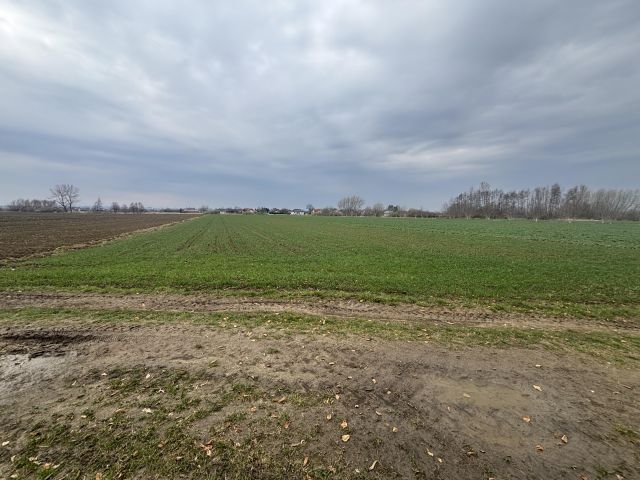 Działka rolna Koniaczów. Zdjęcie 1