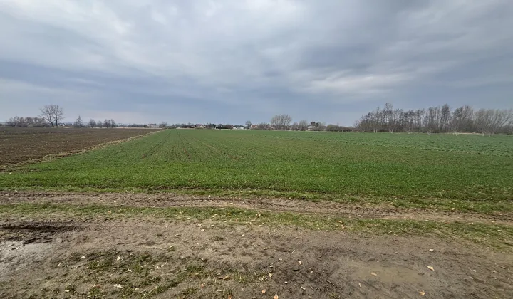 Działka rolna Koniaczów