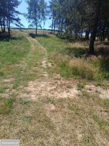 Działka rolno-budowlana Lipy. Zdjęcie 1