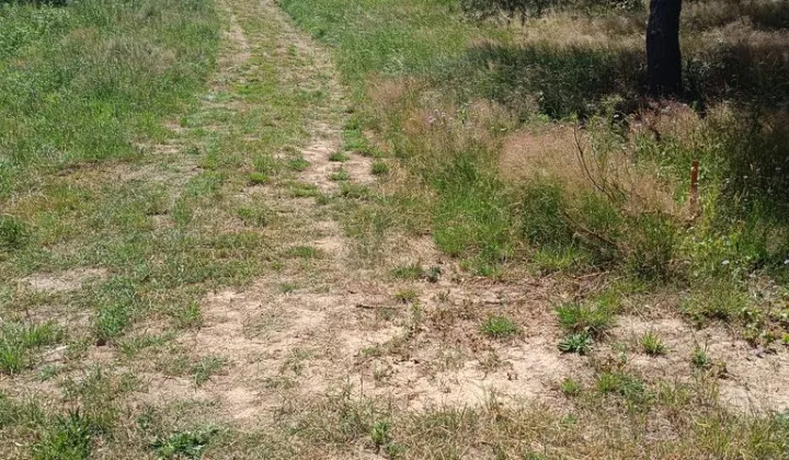 Działka rolno-budowlana Lipy